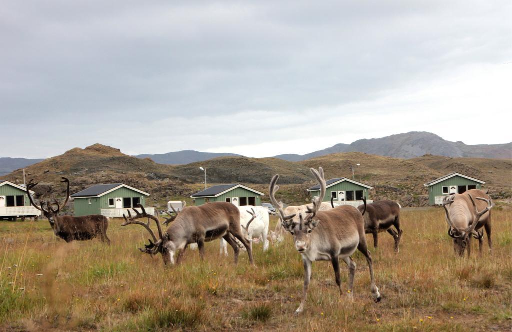 Nordkapp Camping Hotel Honningsvag Room photo