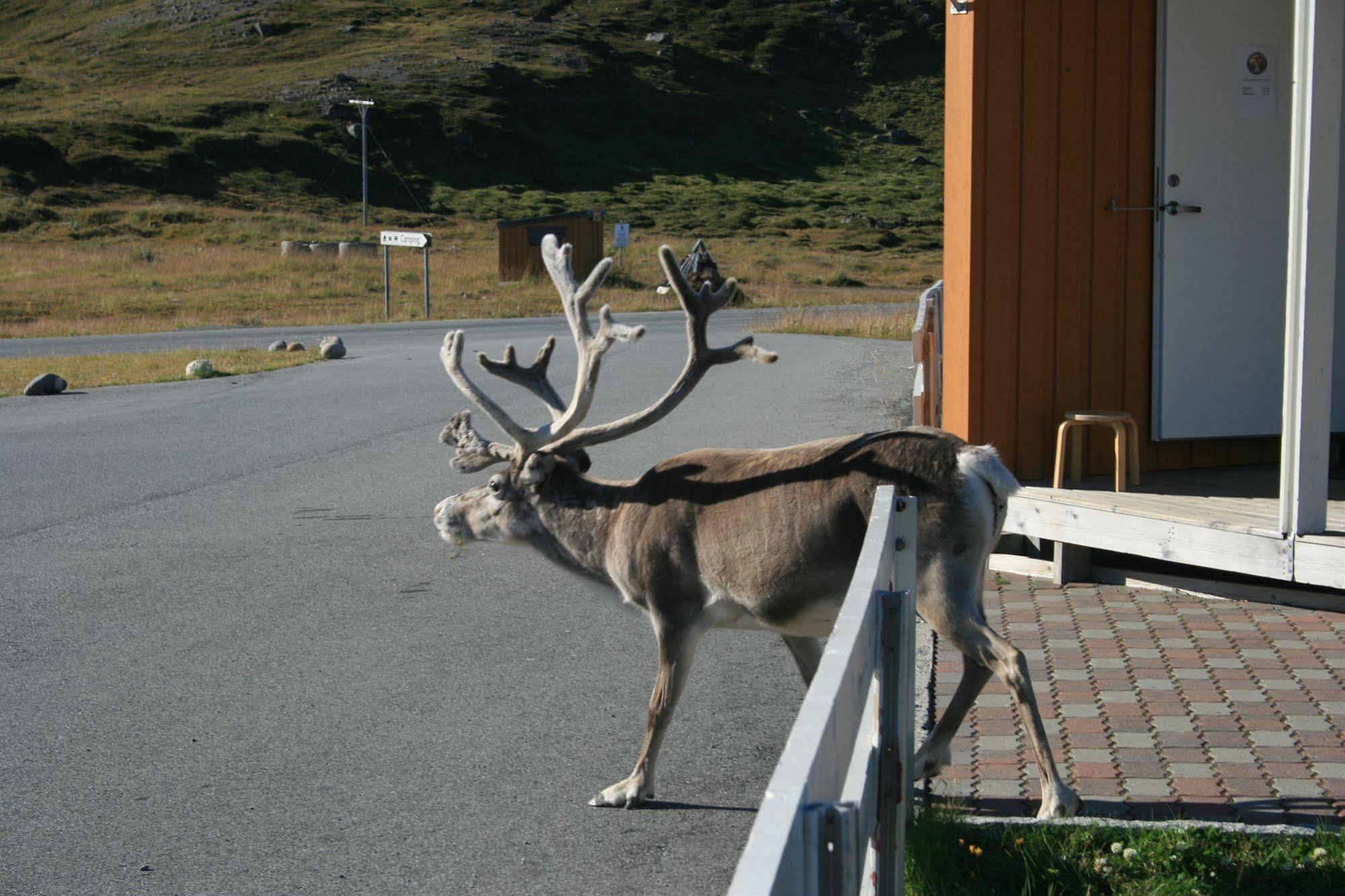 Nordkapp Camping Hotel Honningsvag Exterior photo